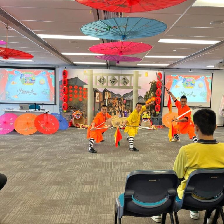 少林功夫表演