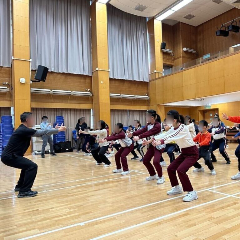 詠春拳表演