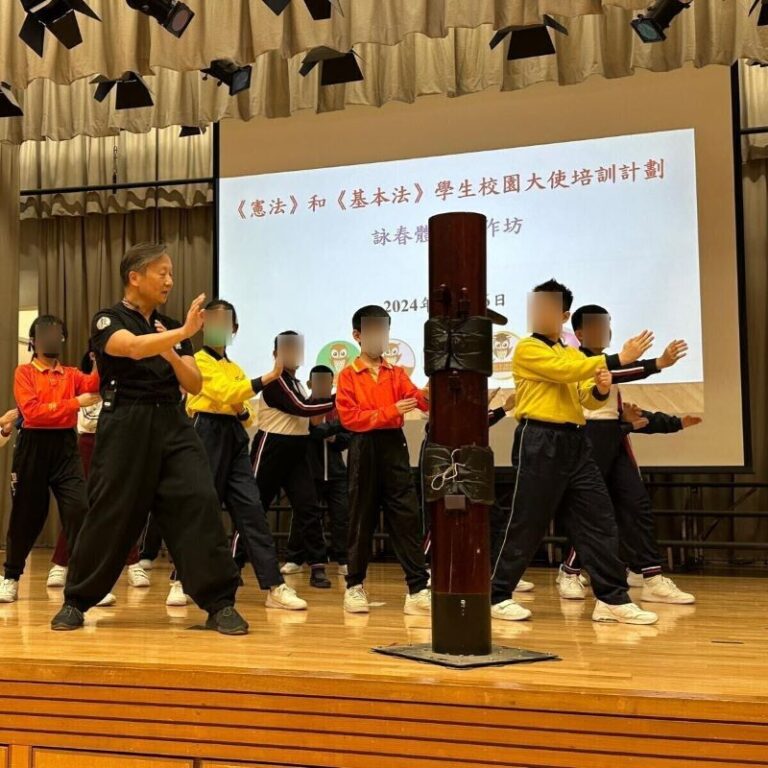 詠春拳表演