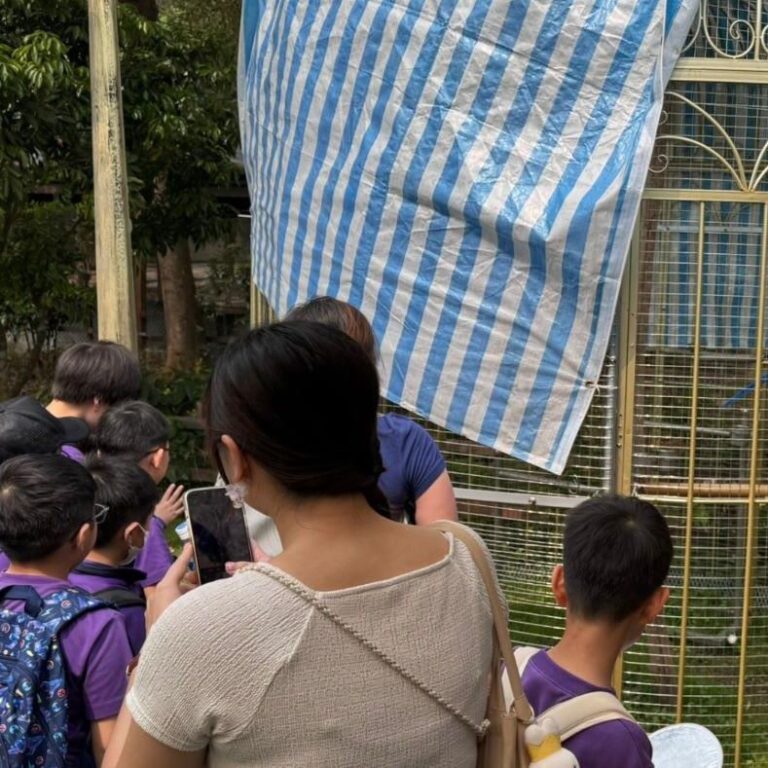 中醫職業體驗活動