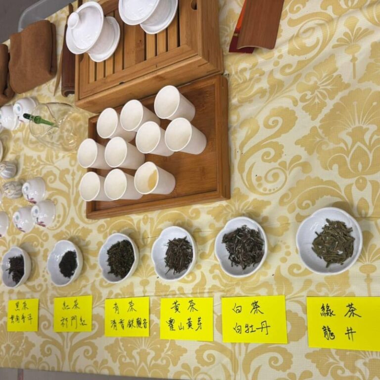 茶品種